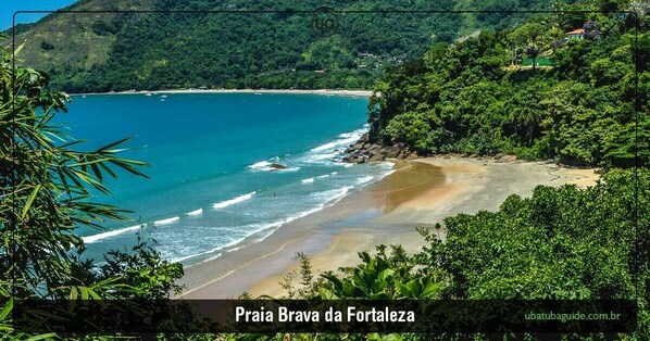 A coastal landscape with a beach and dense greenery.