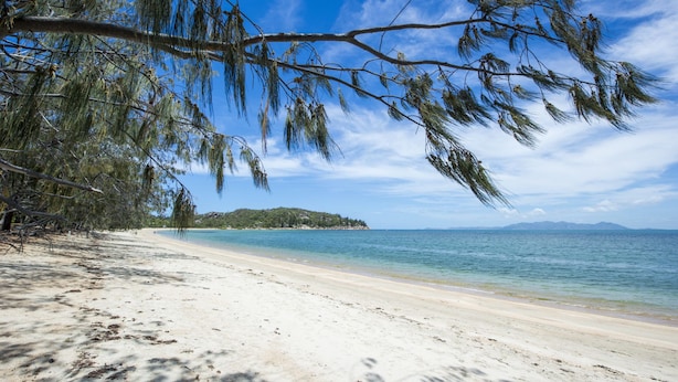A beach with clear blue water, sandy shore, and a tree-lined path. - Azure on Geoffrey Bay (Arcadia)