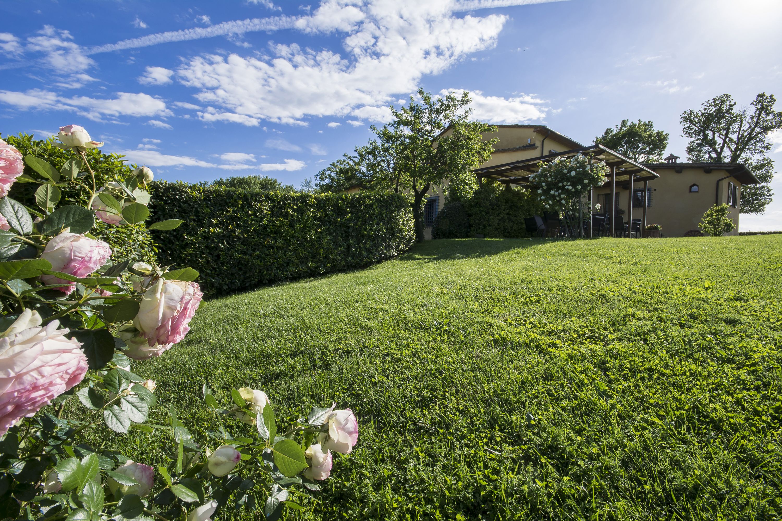 A well-maintained lawn, a building with a covered patio, and a hedge in the background.