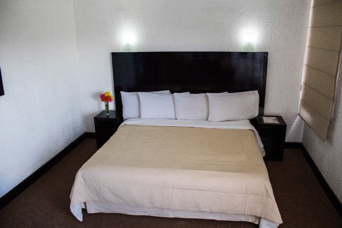 Habitación, 1 cama King size | Tabla de planchar con plancha y wifi gratis
