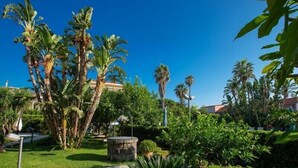A lush garden with palm trees, a stone pathway, and various potted plants. - Hotel Aequa (Vico Equense)