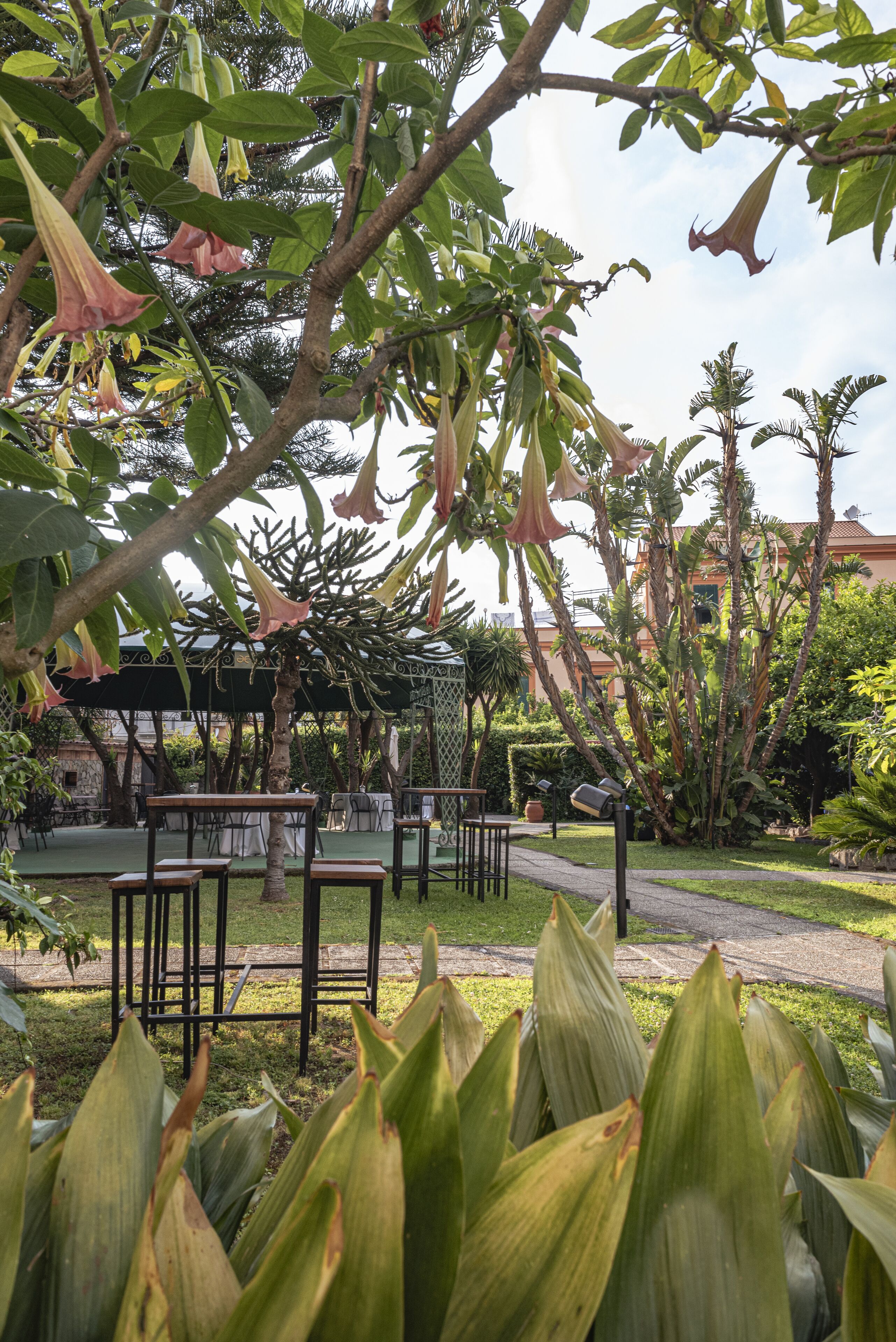 Giardino