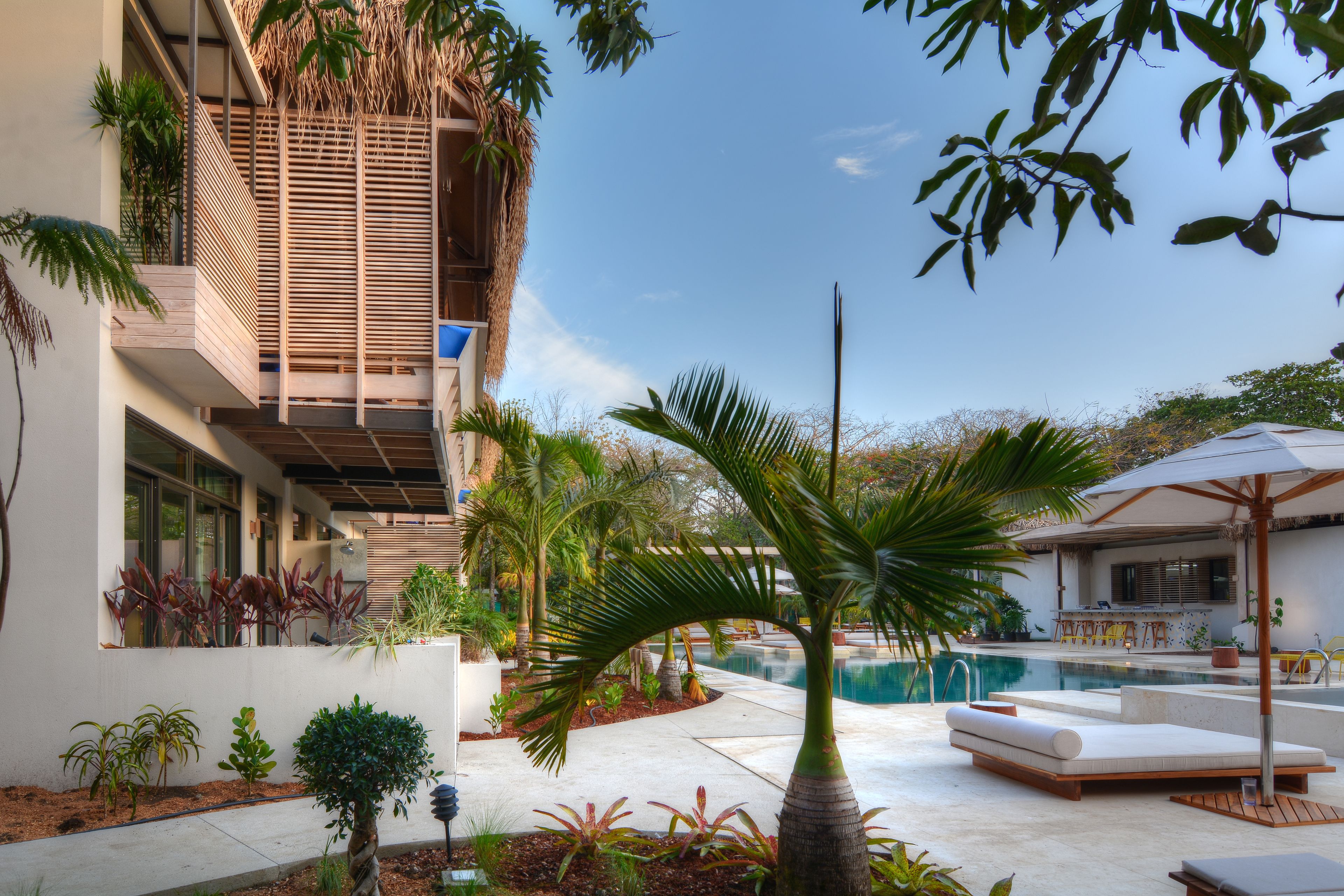 A modern building with a pool, outdoor seating, and various plants.