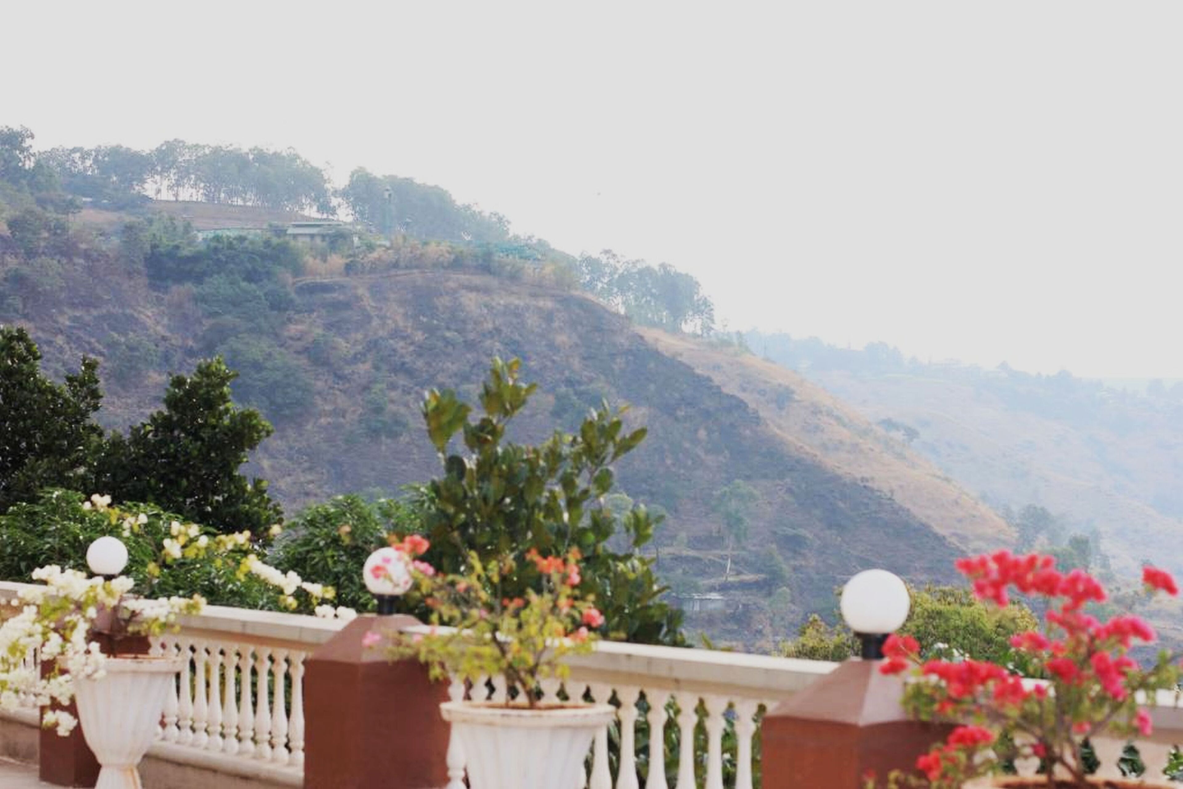 Teras/patio