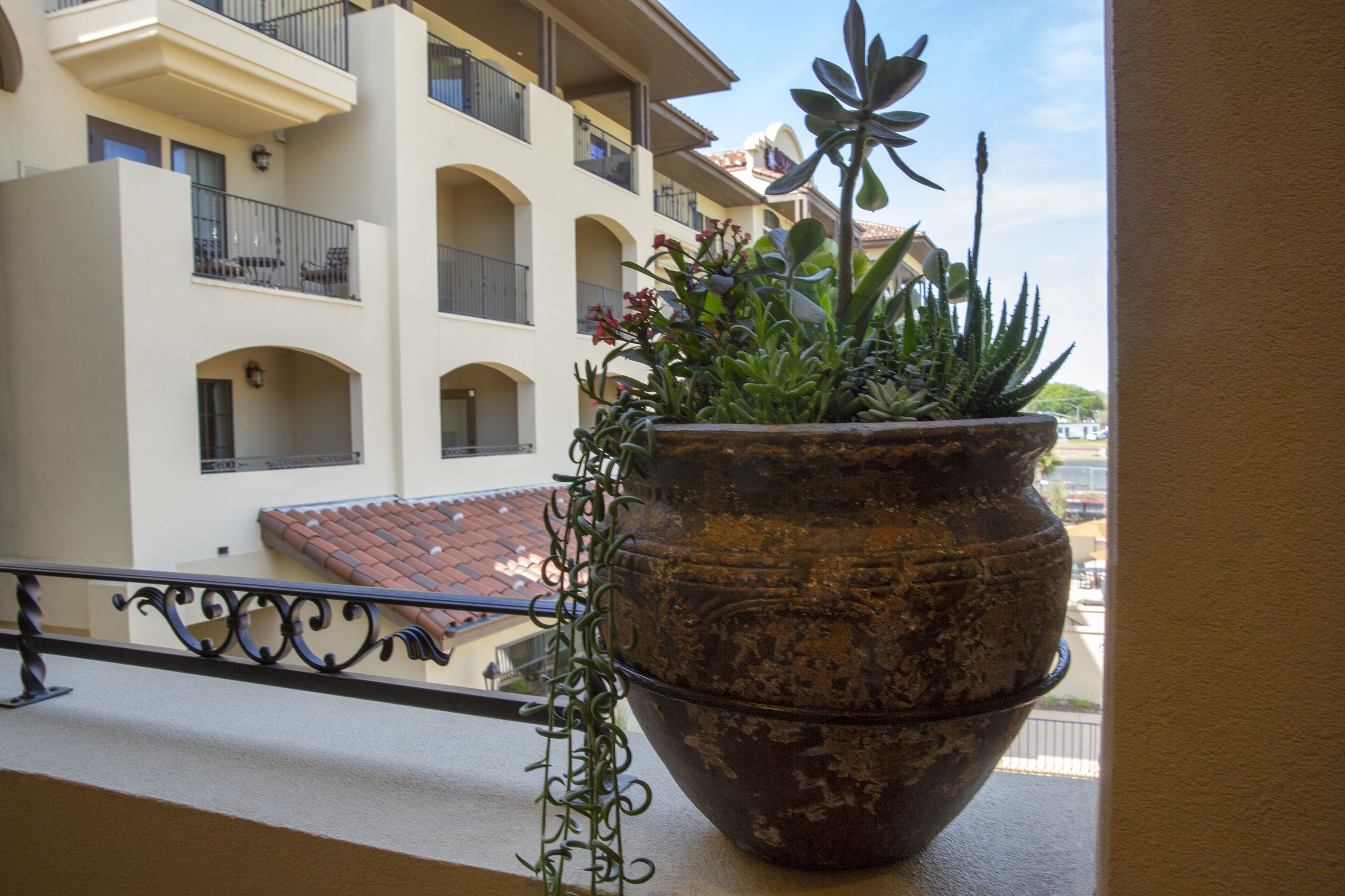 Una planta grande en maceta sobre la barandilla de un balcón.
