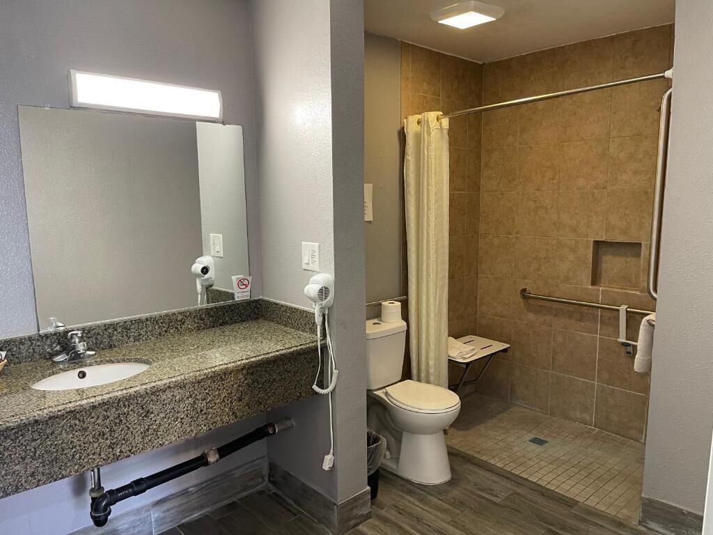 A bathroom with a granite countertop sink, a mirror, a toilet, and a shower with a curtain.