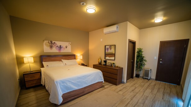 Een slaapkamer met een groot bed, nachtkastjes met lampen, een kast, een potplant en een radiator.