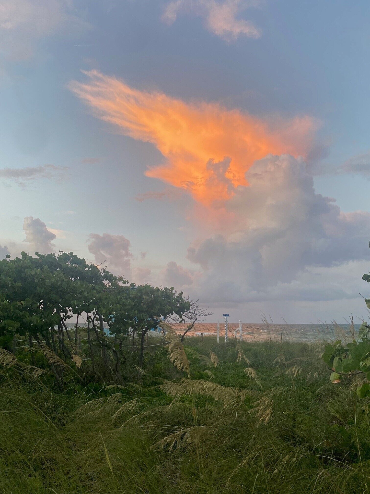 Foto - Broadmore Miami Beach