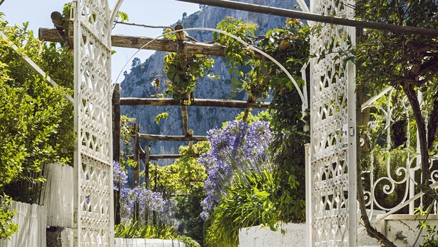 A set of stone steps leading up to a white gate with intricate metalwork, surrounded by lush greenery and flowering plants. - Suite Time Capri Villa La Pergola (Capri)