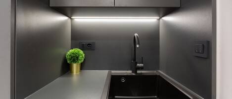 A modern kitchen with a stainless steel sink, a black faucet, and a small potted plant on the countertop.