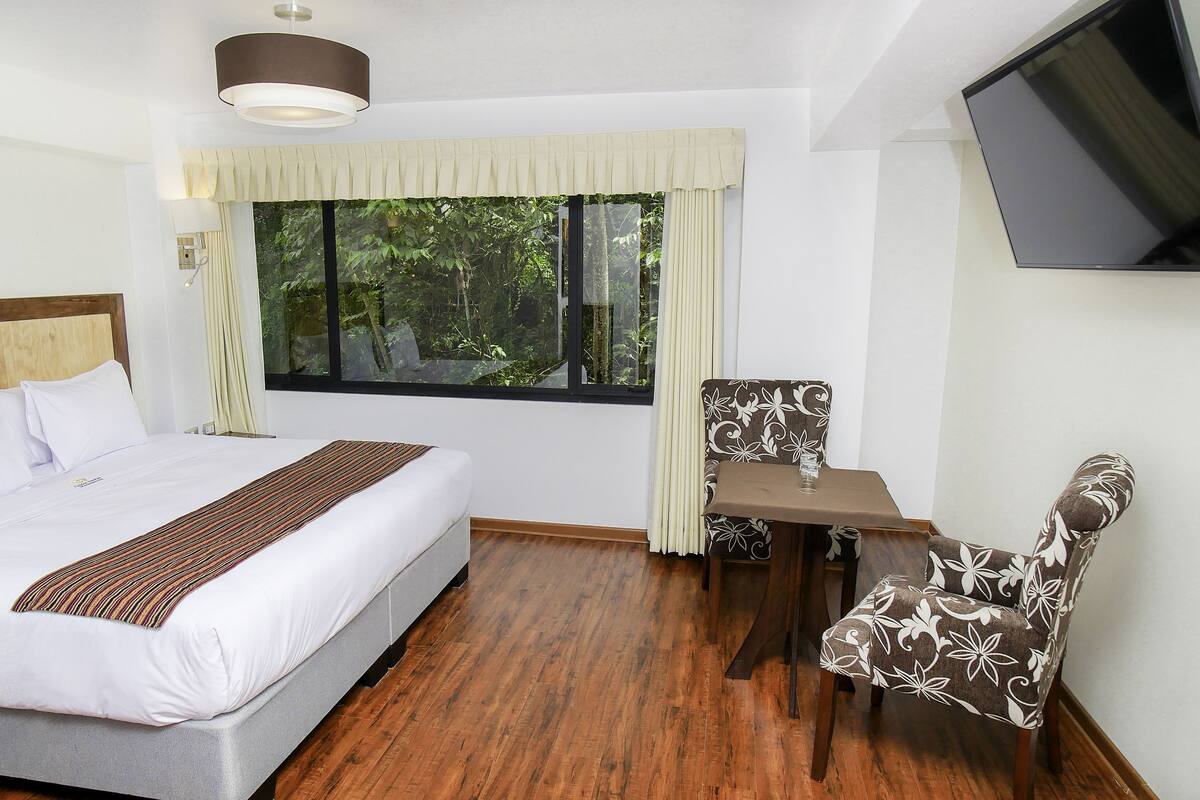 A hotel room with a bed, a desk, a chair, a TV, and a window with a view of trees.
