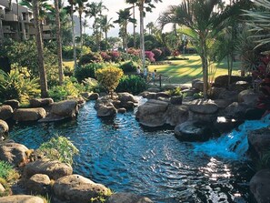 Property grounds - Mellow Vibe Suite w/Island Decor, Kitchen Ease, Lanai, WiFi, AC–Kamaole Sands 4305 (KIHEI)
