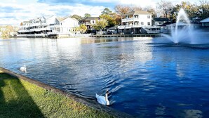 Une vue sur le bord de l’eau, avec un cygne, une fontaine et des immeubles d’habitation.