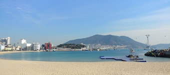 Brown-Dot Songdo
