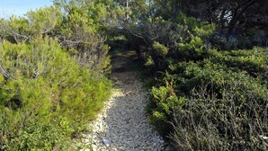 A gravel path surrounded by dense vegetation and trees. - Aunt Regina House, authentic house from 1882. with magnificent see view (Božava)