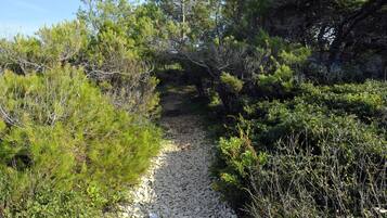 Overnattingsstedets uteområder