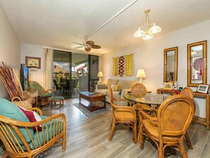 تلفزيون، مشغل دي في دي