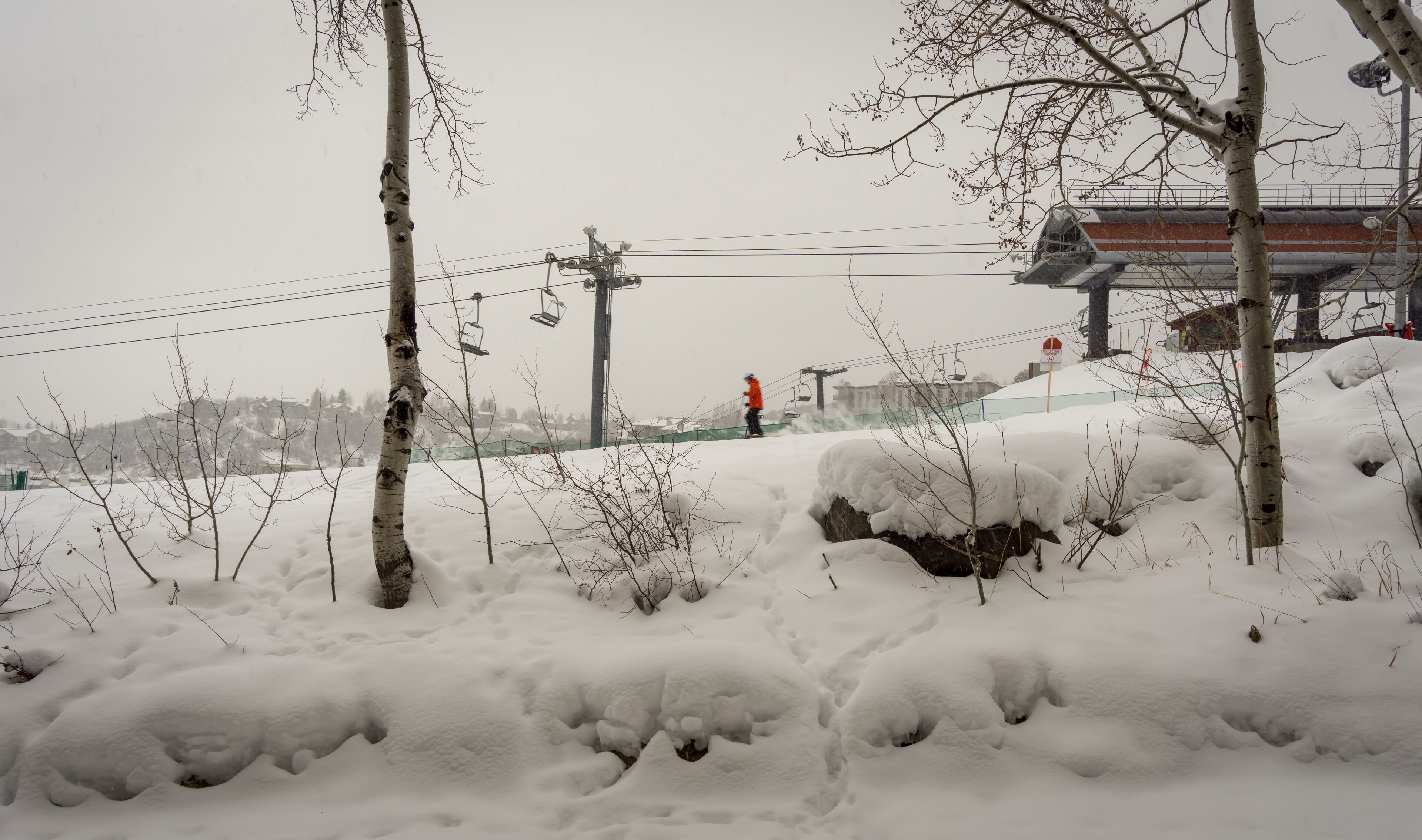Ett snöigt landskap med kala träd och en person i en orange jacka som går på en snötäckt stig.
