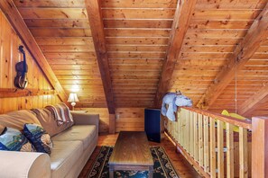 TV, DVD player, books, video library