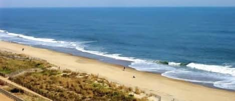 PĂ„ stranden