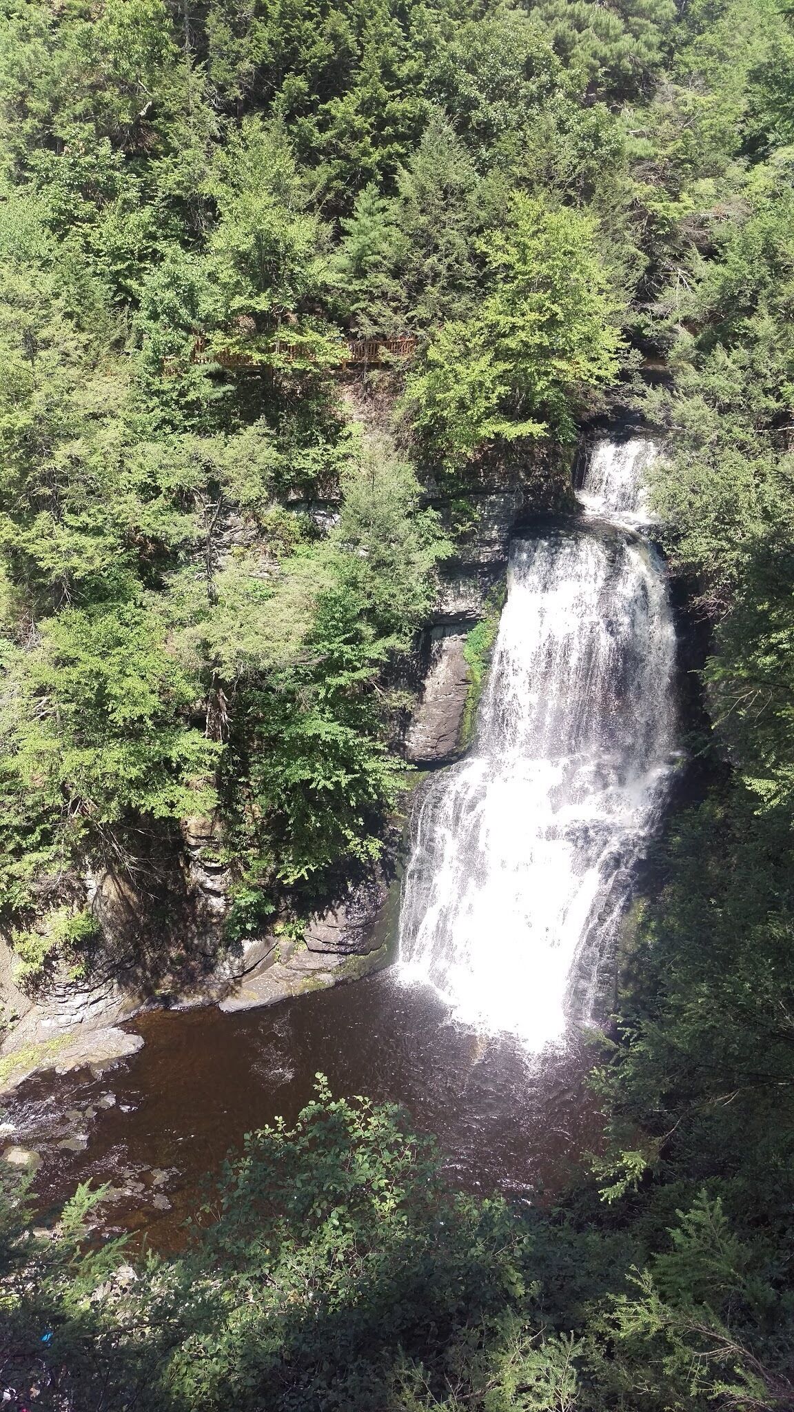 A waterfall surrounded by dense green forest.