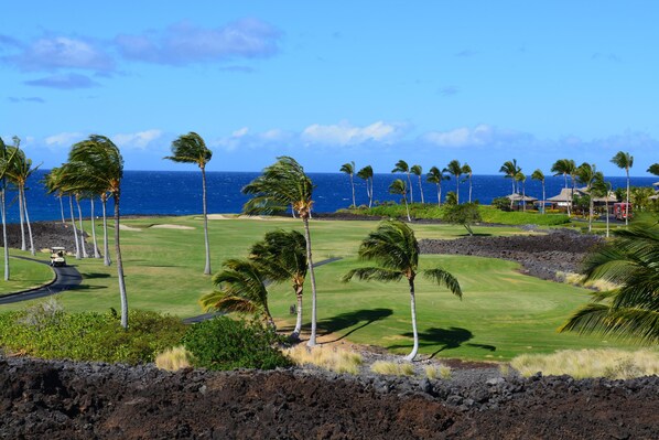 Een golfbaan met uitzicht op de oceaan en palmbomen.