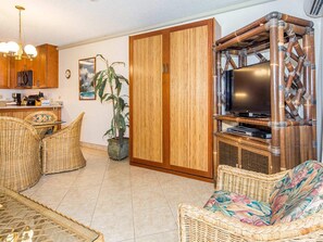 Fernseher, DVD-Player