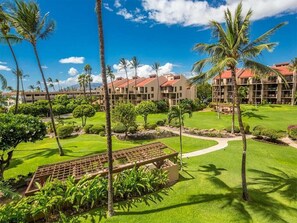 Property grounds - Island Energy in Suite w/Lanai, Washer/Dryer, WiFi, Kitchen–Kamaole Sands 7302 (KIHEI)