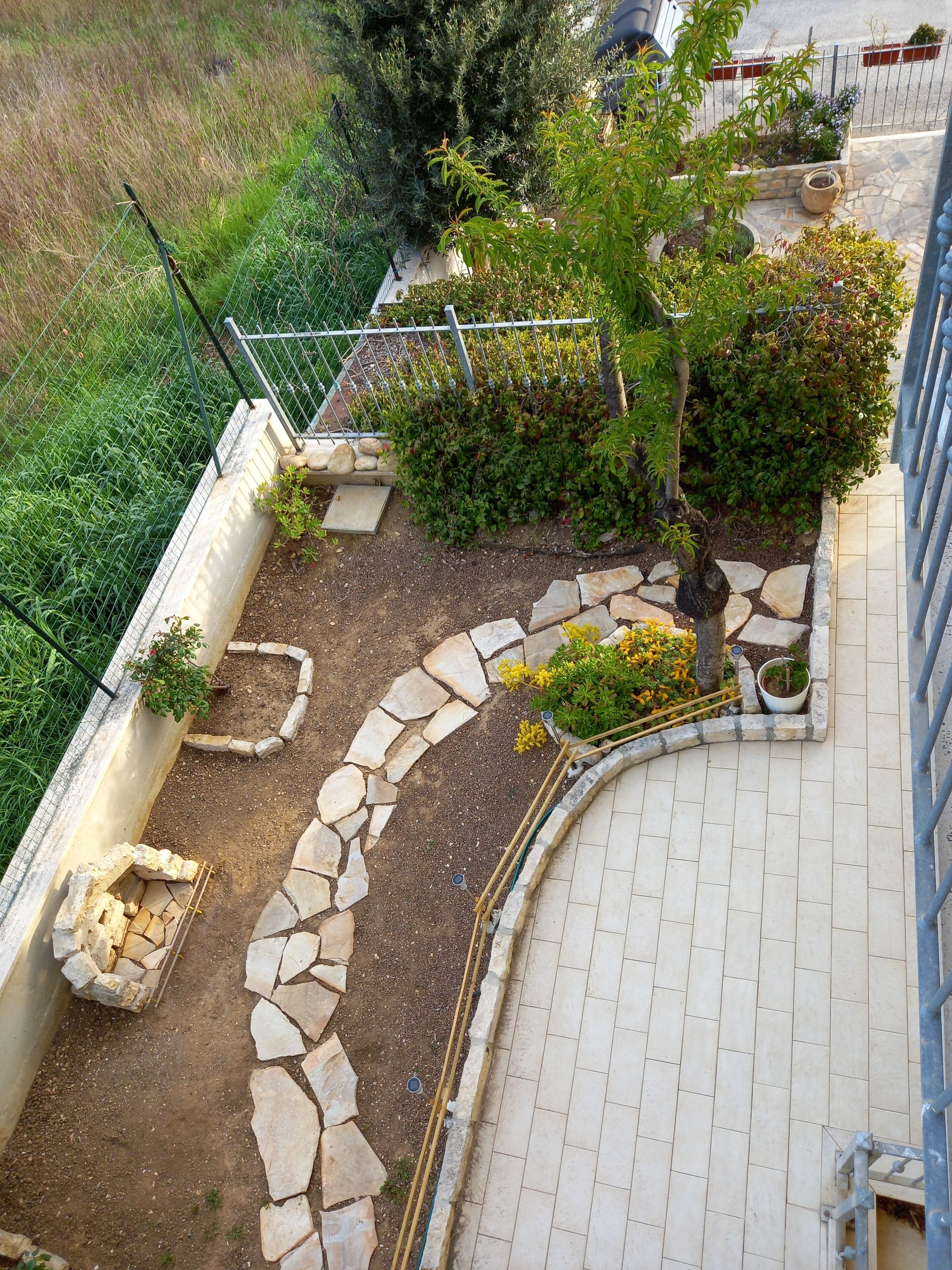 A landscaped garden area with stone pathways, a small tree, and various plants.