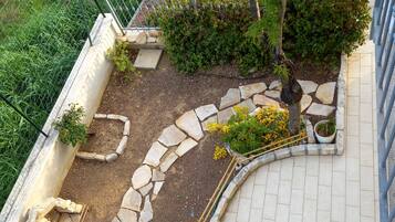 A landscaped garden area with stone pathways, a small tree, and various plants.
