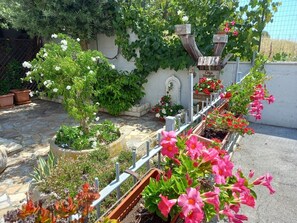 Stunning garden area with a variety of flowering plants and shrubs, surrounded by a metal fence and featuring potted plants and garden beds.
