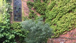 A brick building with a window and a tree in the center. - Luxury Coach House in beautiful rural village, scenic walks & 3 miles to Ledbury (Ledbury)