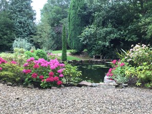 Overnattingsstedets uteområder