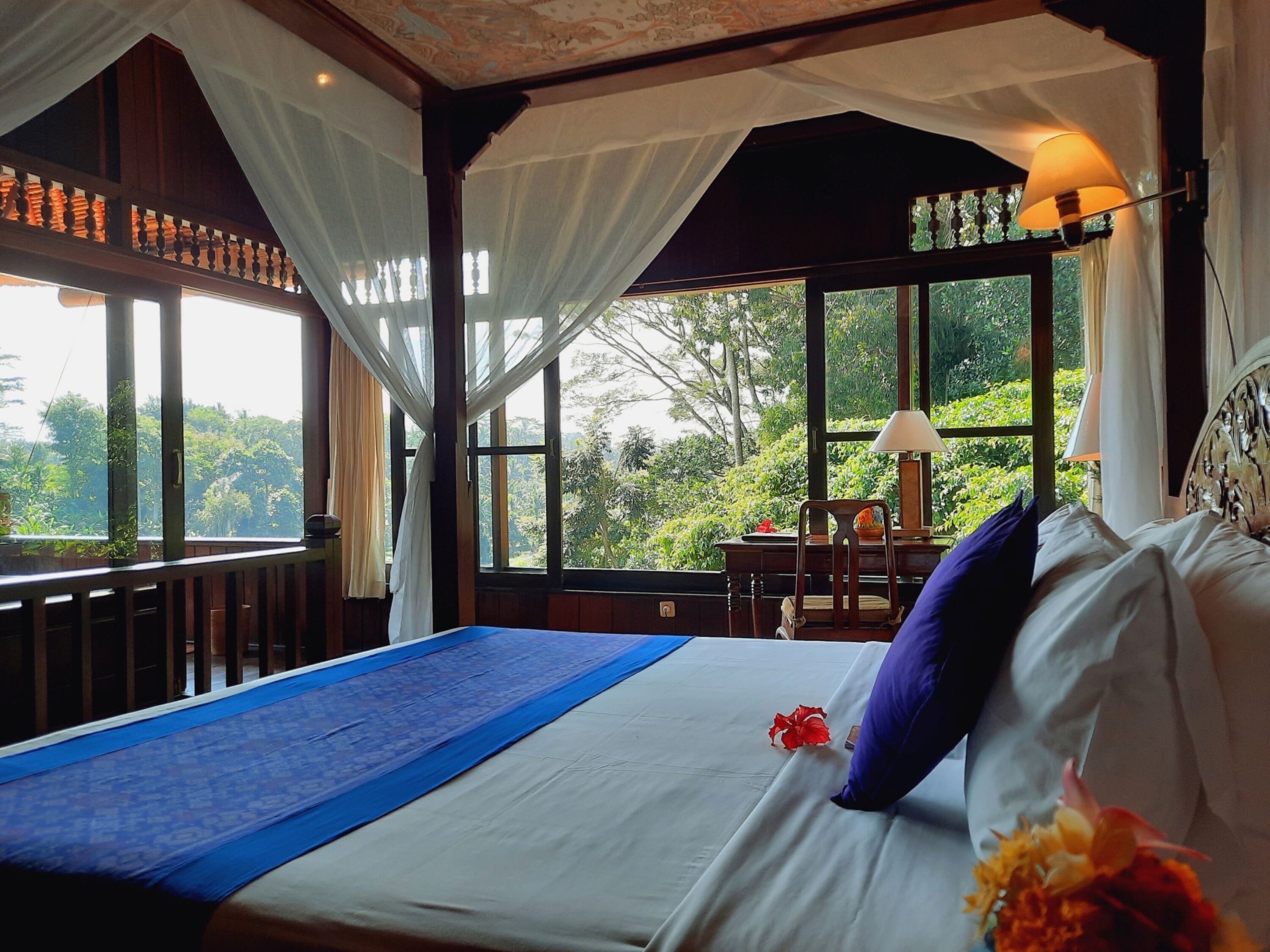 A room with a bed, a desk, and a view of greenery outside.