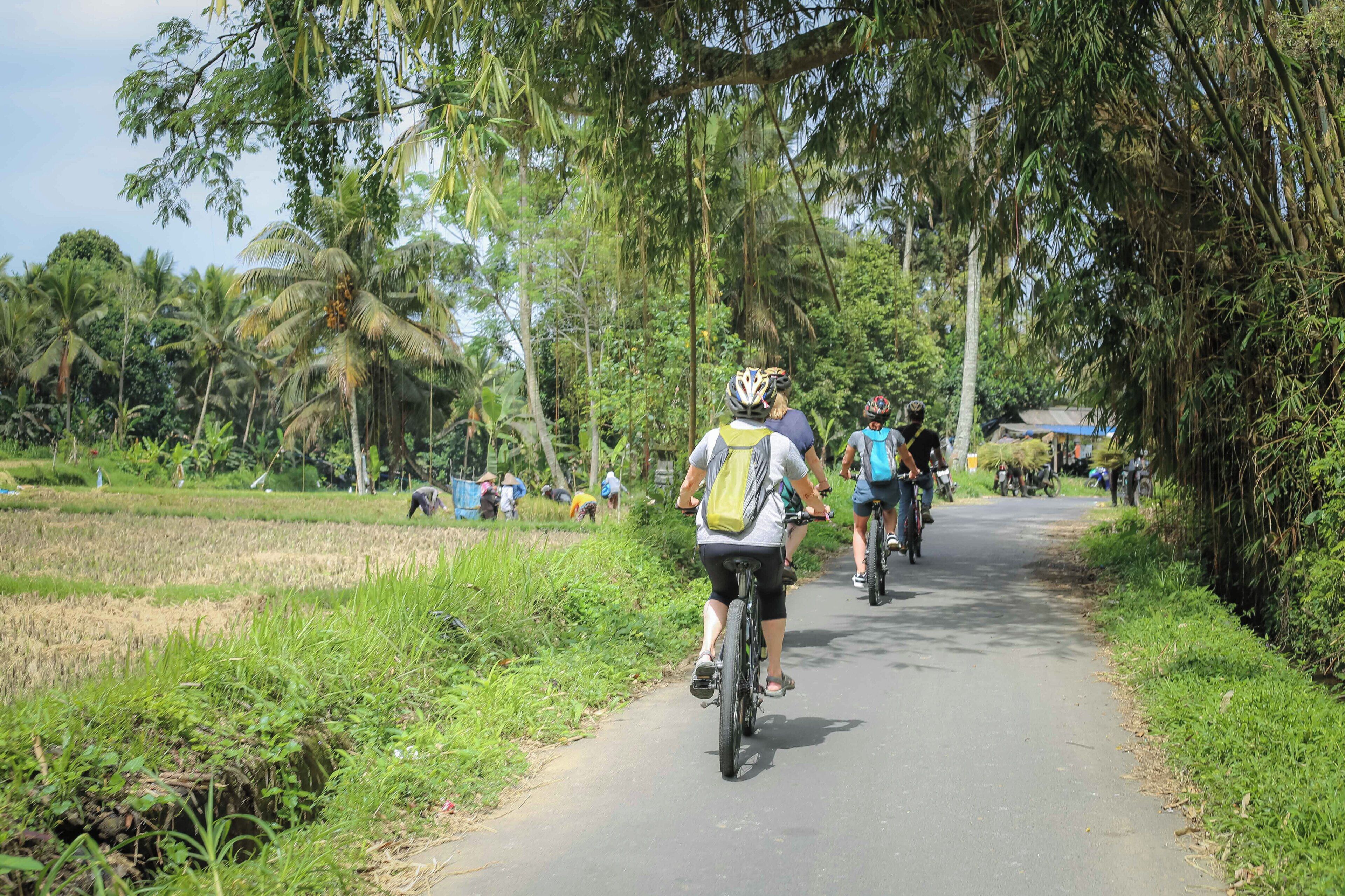 Photo - Alam Indah Ubud