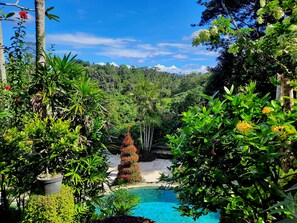 A lush garden with a pool, surrounded by various plants and trees. - Alam Indah Ubud (Ubud)