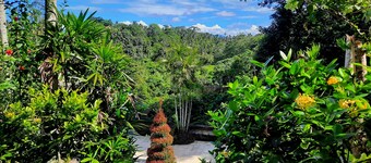 Alam Indah Ubud