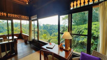 Deluxe Suite | View from room