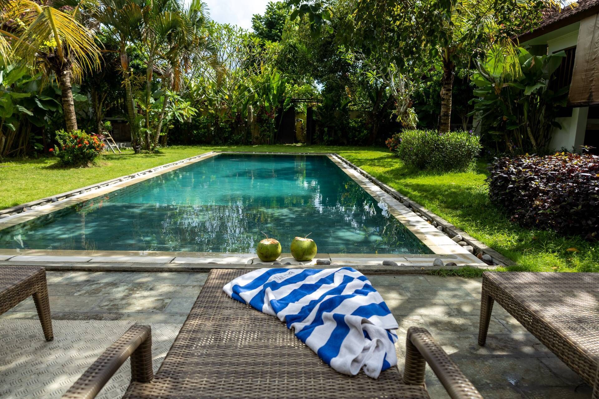 Une piscine rectangulaire bordée de deux noix de coco, entourée d’une végétation luxuriante.