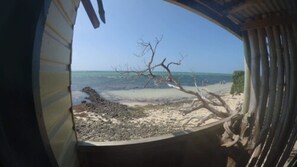 A beach view through a curved window with a tree in the foreground.