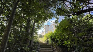 Un escalier en pierre, bordé d’une végétation luxuriante, mène à un bâtiment surmonté d’un toit bleu.