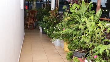 Terraza o patio