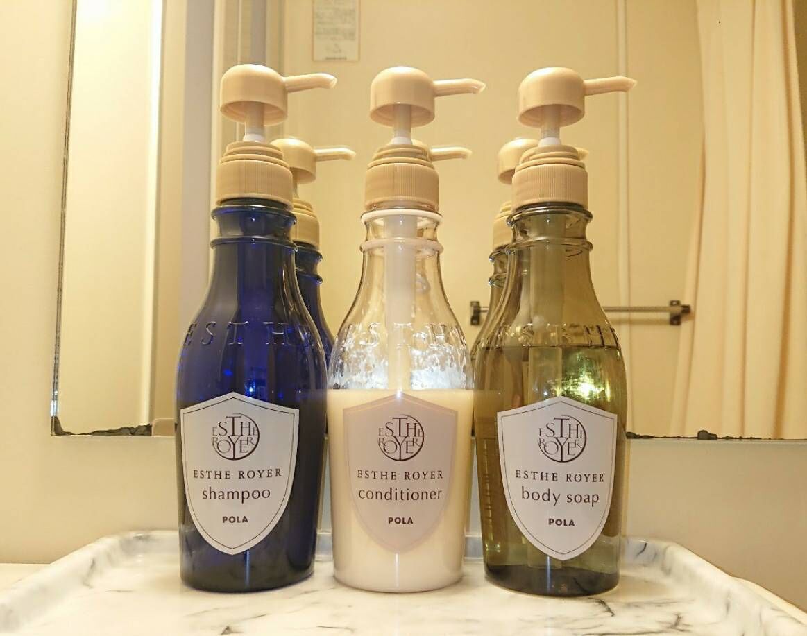 combined shower/bathtub, free toiletries, hair dryer, towels