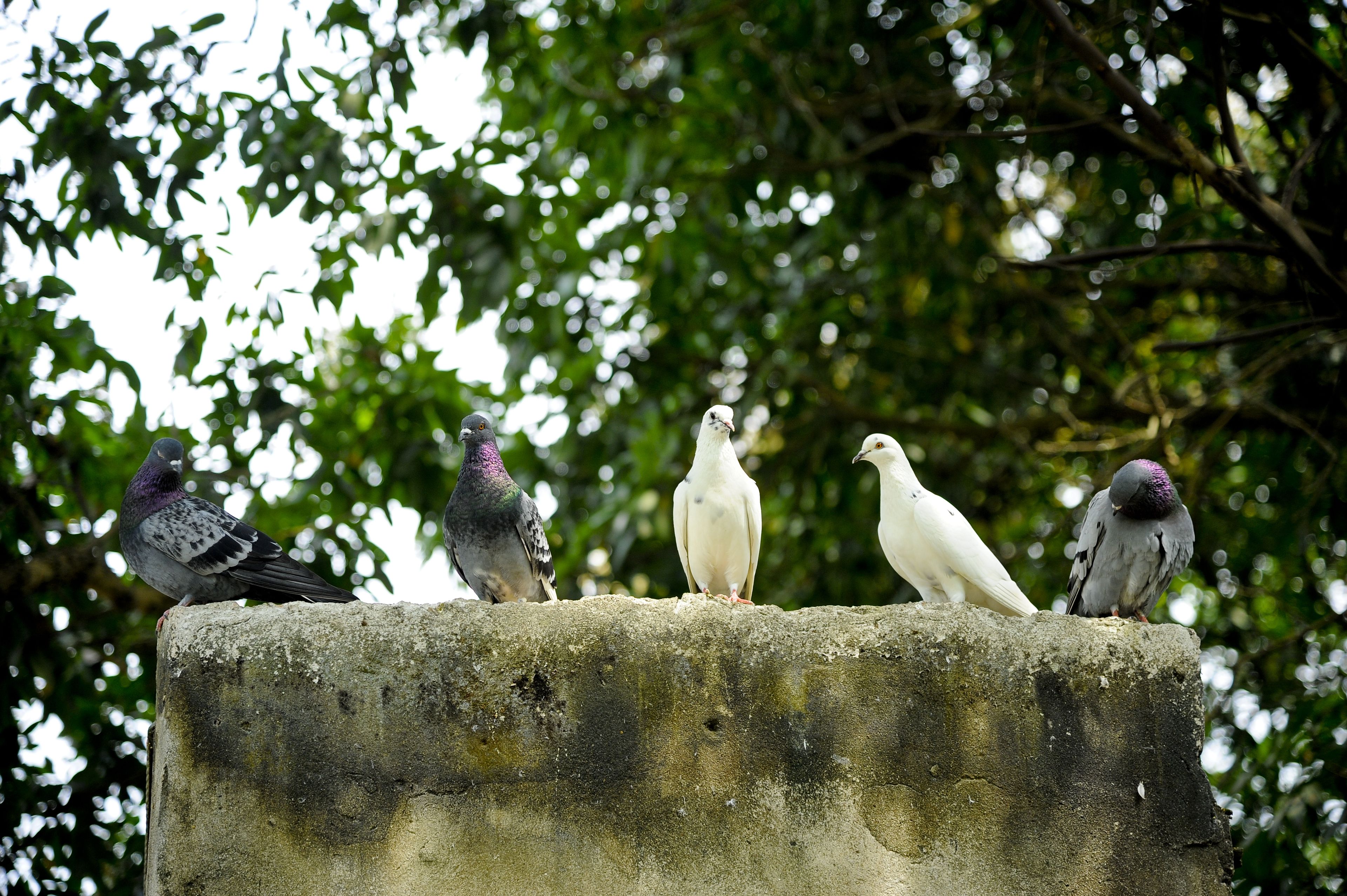 land view from property