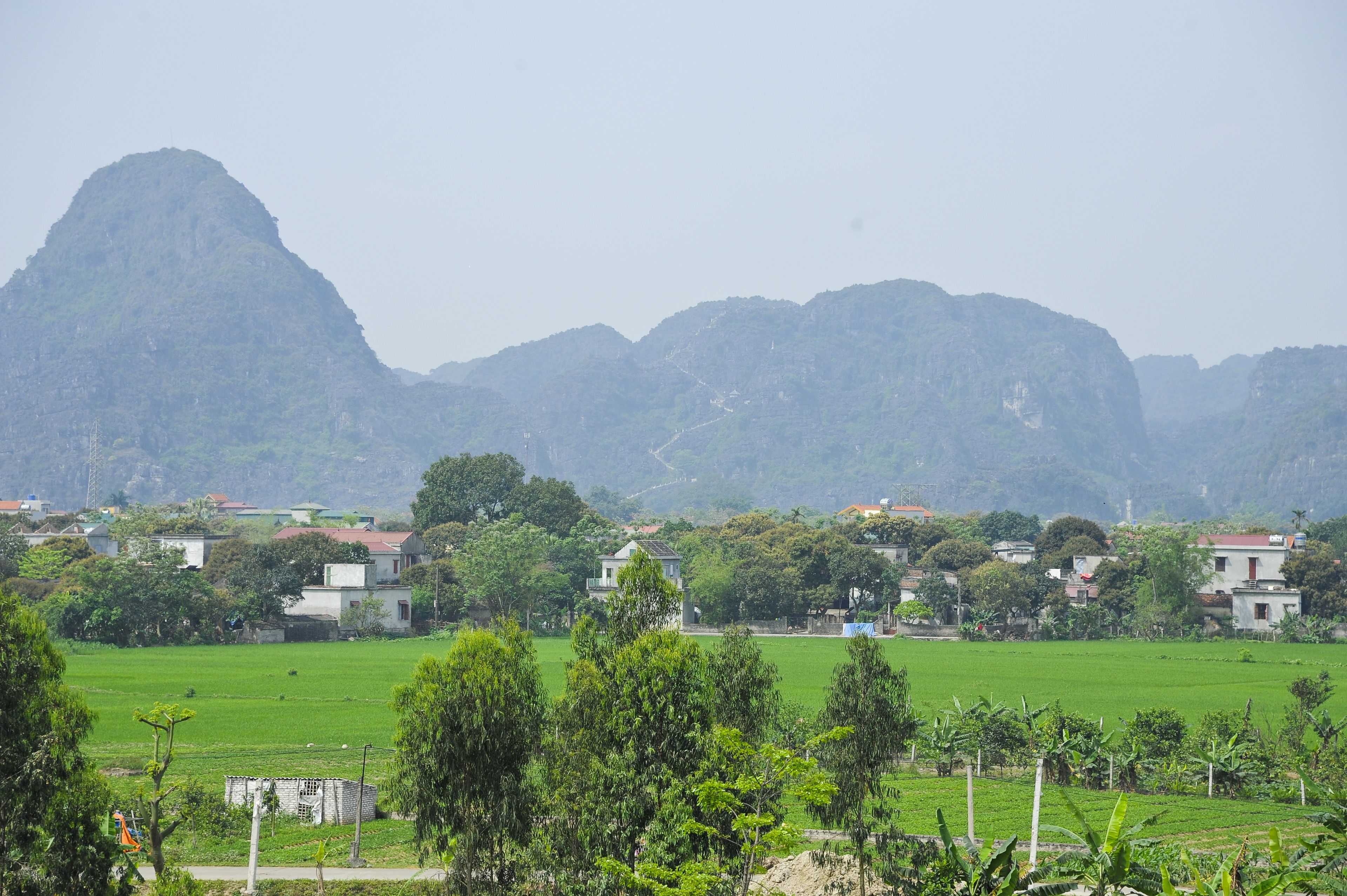 superior triple room, 1 bedroom, garden view | view from room