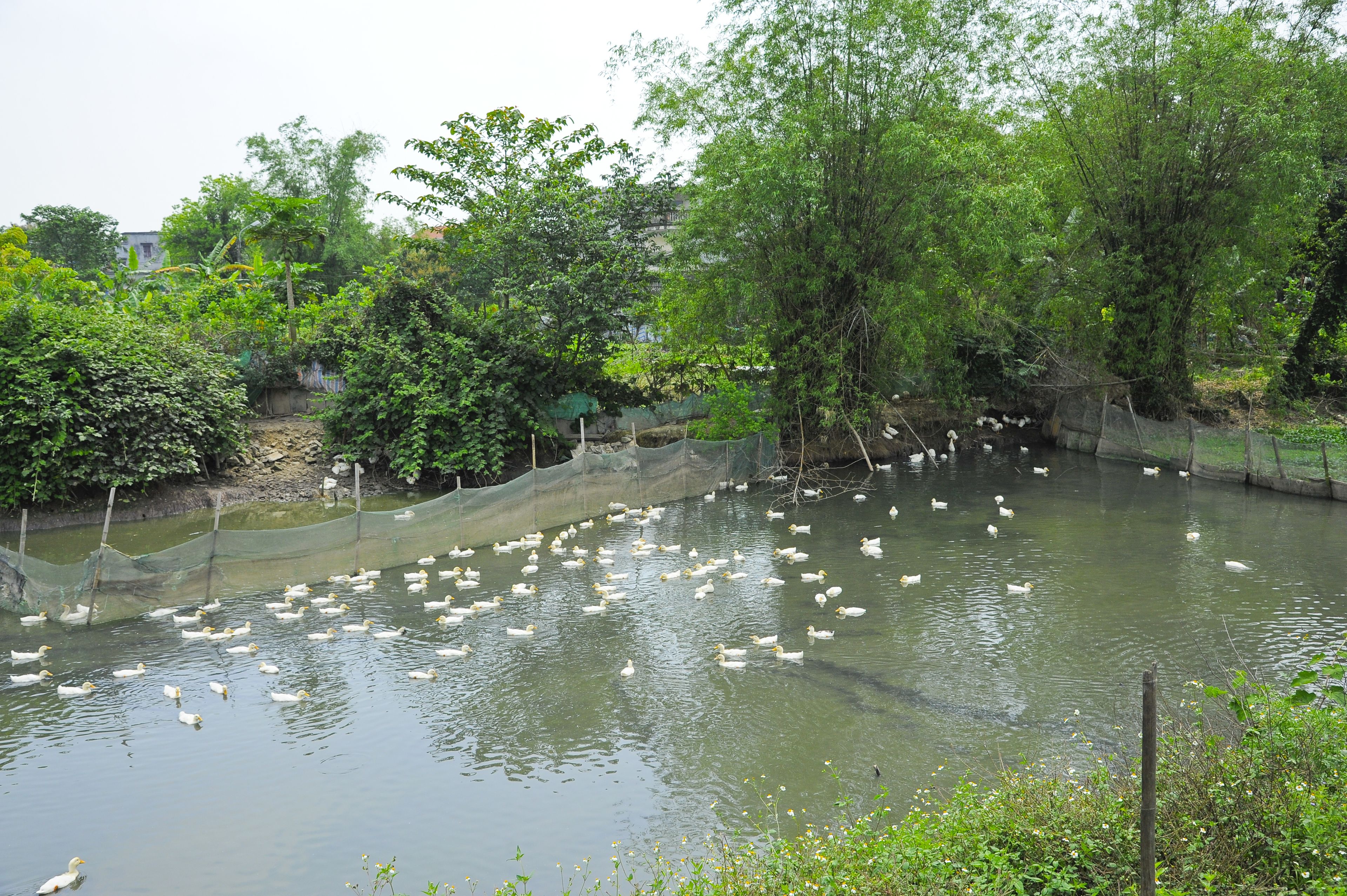 land view from property