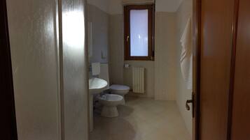 Regadera, secadora de cabello, bidet, toallas