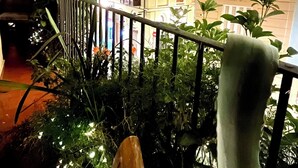 Un balcon doté d’une balustrade, de plantes en pot et offrant une vue sur des immeubles avec des balcons et des fenêtres.