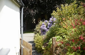 Fully enclosed courtyard garden