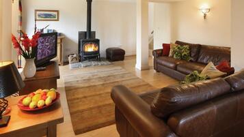 Télévision à écran plat, cheminée